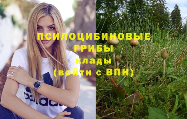 первитин Белокуриха